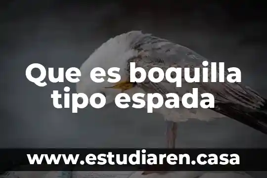 Que es boquilla tipo espada