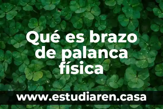 Qué es brazo de palanca física