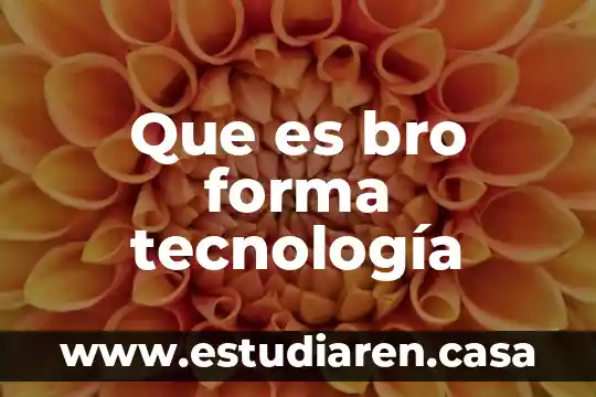Que es bro forma tecnología