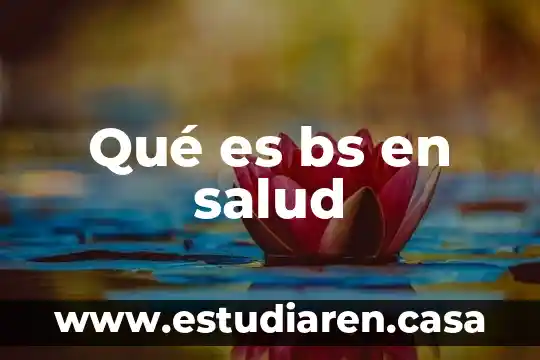 Qué es la sectorización en salud 3 Qué es bs en salud