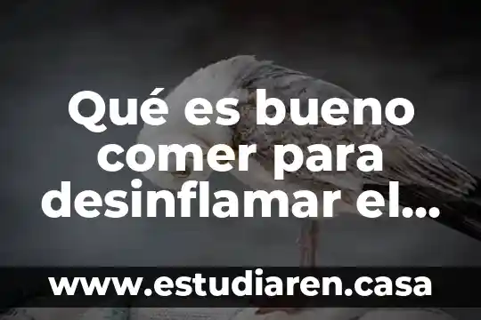 Qué es bueno comer para desinflamar el cerebro