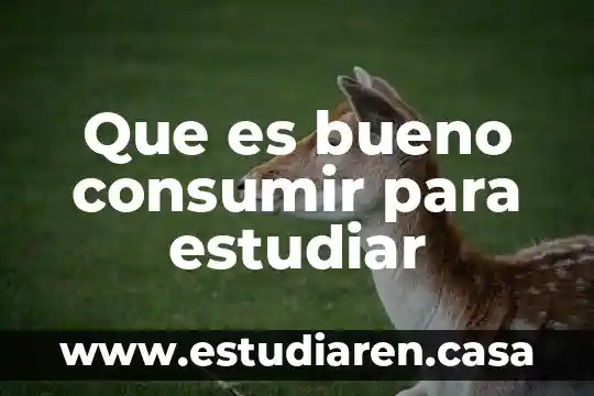 Qué es estudiar la psicología 5 Que es bueno consumir para estudiar