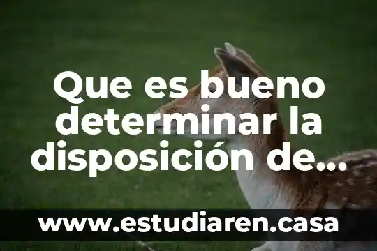 Que es determinar y un ejemplo 7 Que es bueno determinar la disposición de un paciente