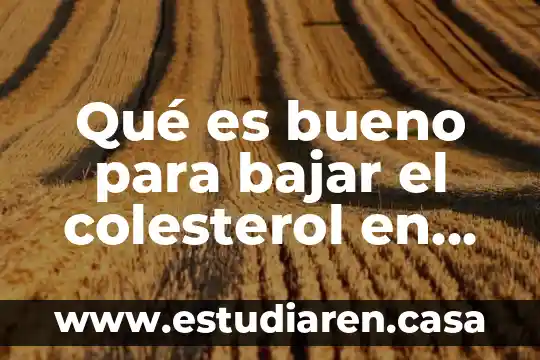 Qué es bueno para bajar el colesterol en forma natural
