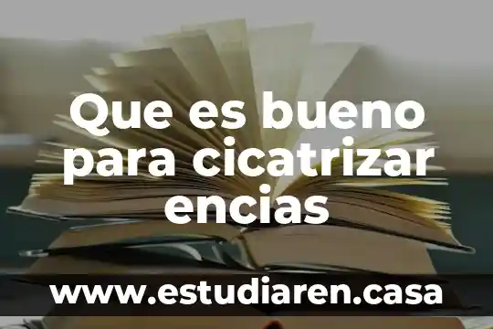 Qué es bueno para lo quemado del sol 8 Que es bueno para cicatrizar encias