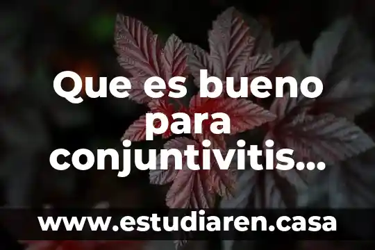 Que es bueno para los ojos rojos y cansados 8 Que es bueno para conjuntivitis en los ojos