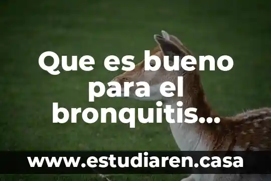 Que es un cncesjo social en tlajomulco 3 Que es bueno para el bronquitis asmatico