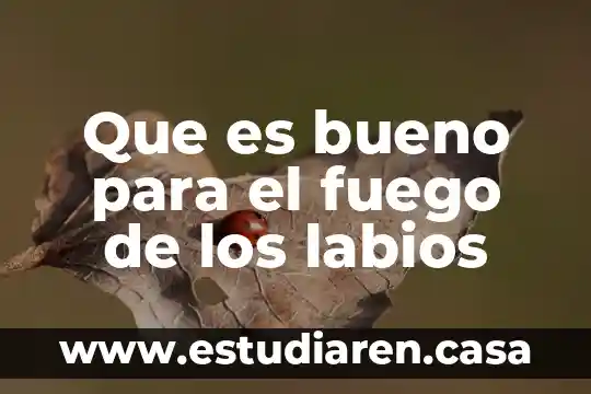 Que es bueno para el fuego de los labios