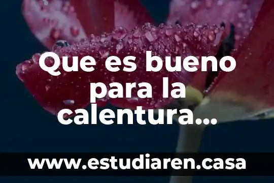 Que es bueno para la calentura niños