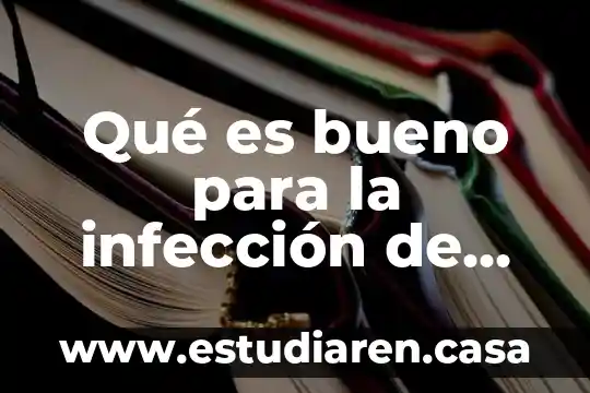 Que es la infeccion por clamidia dibujos 5 Qué es bueno para la infección de estómago metamizol o metronidazol