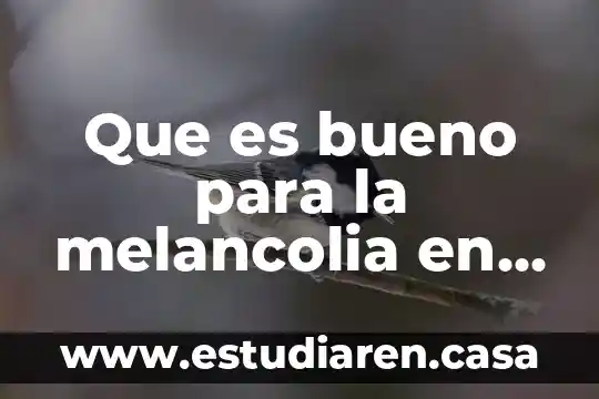 Que es bueno para la melancolia en la piel