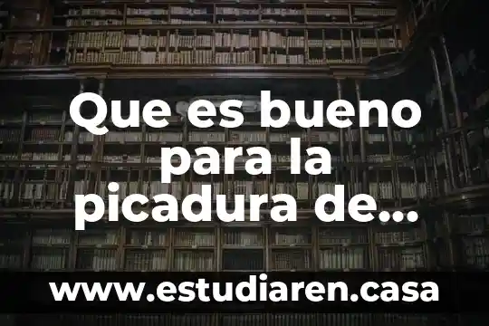 Que es bueno para las picadura de abeja 4 Que es bueno para la picadura de hormiga en niños
