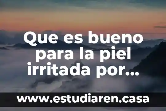 Que es bueno para la piel irritada por alergia