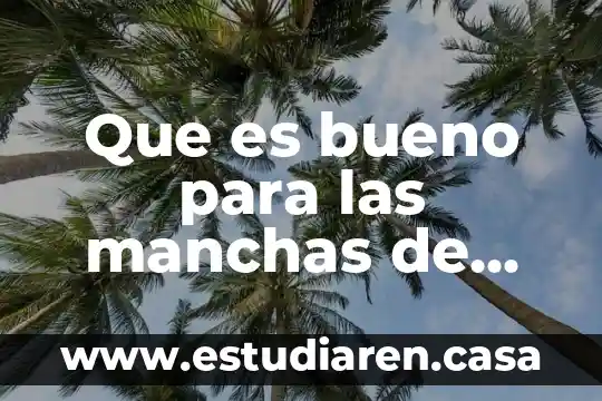 Que es bueno para las manchas de cara