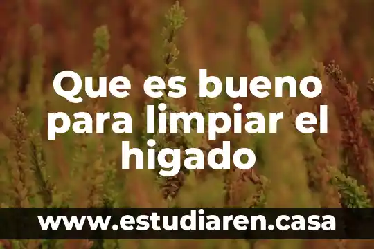 Qué es el sistema enzimático del hígado 6 Que es bueno para limpiar el higado