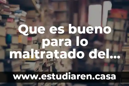 Que es bueno para el pelo reseco 8 Que es bueno para lo maltratado del pelo