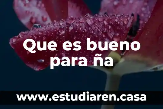 Que es bueno para ña