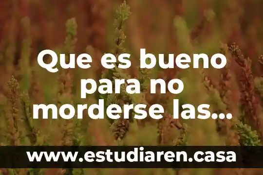 Qué es bueno para tener unas pestañas abundantes 5 Que es bueno para no morderse las uñas