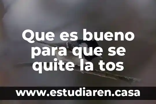 Que es bueno para la tos seca medicamentos 3 Que es bueno para que se quite la tos
