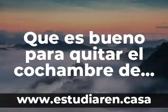 Que es bueno para quitar el cochambre de la estufa