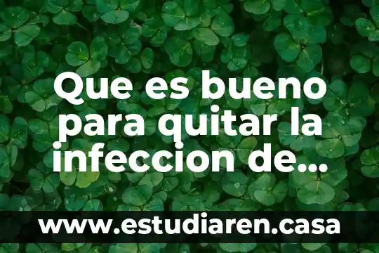 Que es la infeccion por clamidia dibujos 3 Que es bueno para quitar la infeccion de estomago