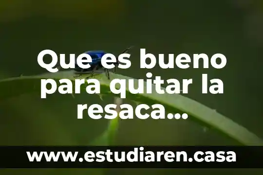 Que es bueno para quitar la resaca rapidamente