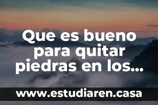 Que es bueno para quitar piedras en los riñones