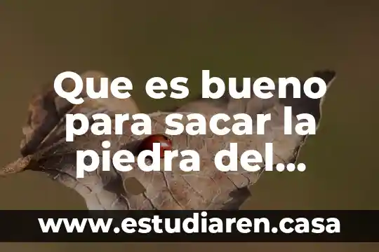 Que es bueno para sacar la piedra del riñon