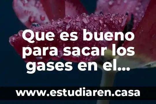 Que es bueno para sacar los gases en el embarazo