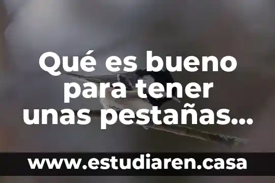 Que es la curva c en uñas 3 Qué es bueno para tener unas pestañas abundantes