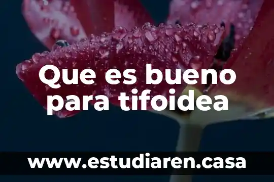 Que es bueno para tifoidea