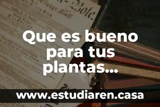 Que es bueno para tus plantas durante la floracion
