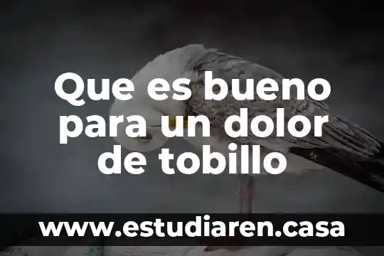 Que es bueno para el dolor de la panza 6 Que es bueno para un dolor de tobillo
