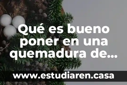 Educando tv que es una hipotesis para 4to grado 7 Qué es bueno poner en una quemadura de primer grado