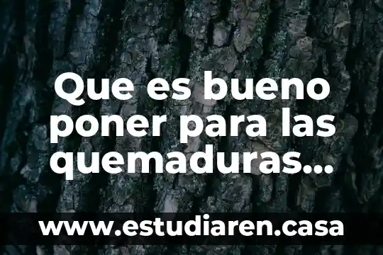 Que es bueno para las quemaduras con el comal 4 Que es bueno poner para las quemaduras de aceite