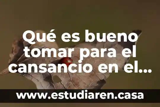 Qué es bueno tomar para el cansancio en el cuerpo