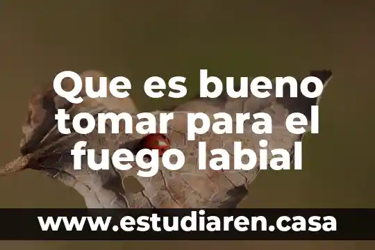Que es bueno tomar para el fuego labial