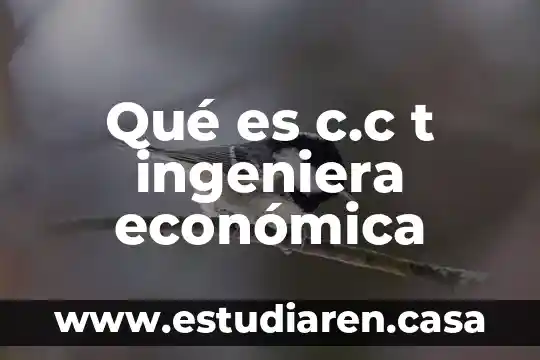 Qué es un sistema de alarma con una CC 6 Qué es c.c t ingeniera económica