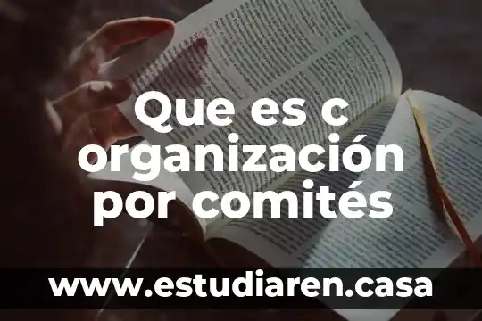 Que es c organización por comités