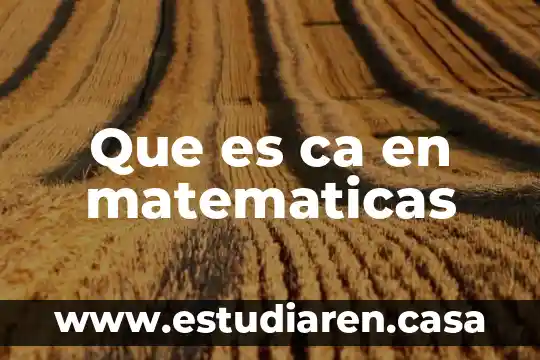 Qué es un c.a carrera 8 Que es ca en matematicas