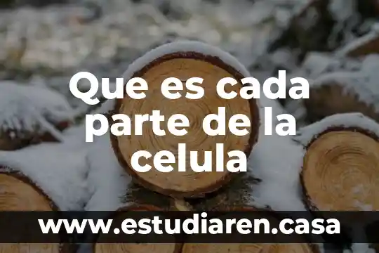 Qué es la parte y la contraparte en tv 3 Que es cada parte de la celula