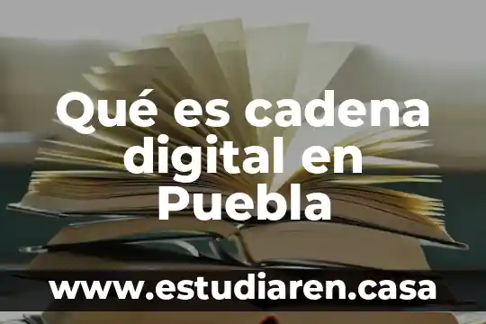 Grupo Butser Puebla 8 Qué es cadena digital en Puebla