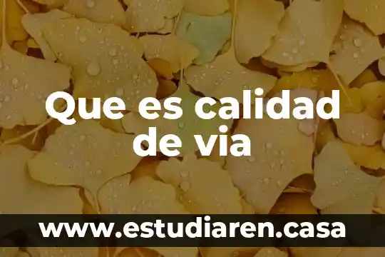 Que es calidad de via
