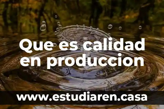 Que es calidad en produccion