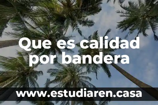 Qué es el juego denominado tochito bandera 4 Que es calidad por bandera
