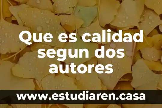 Que es un control plan de calidad 3 Que es calidad segun dos autores