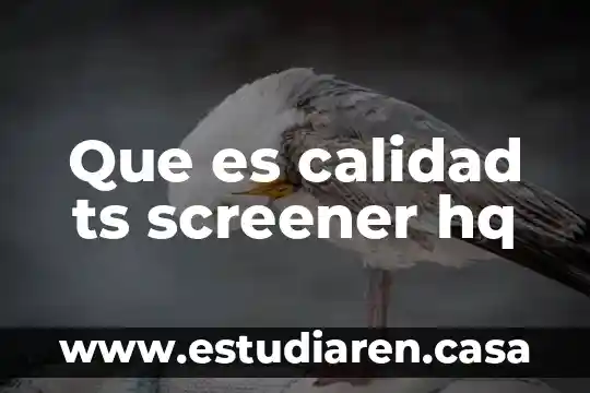 Que es calidad ts screener hq