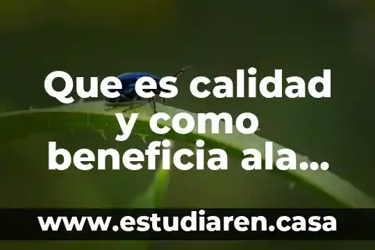 Que es calidad y como beneficia ala empresa