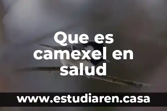 Que es el saldo medio por periodo de liquidaci贸n 5 Que es camexel en salud