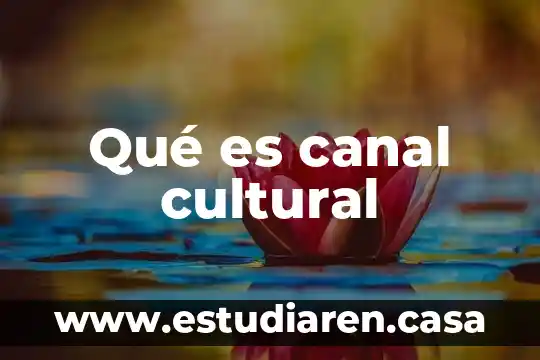 Qué es canal cultural